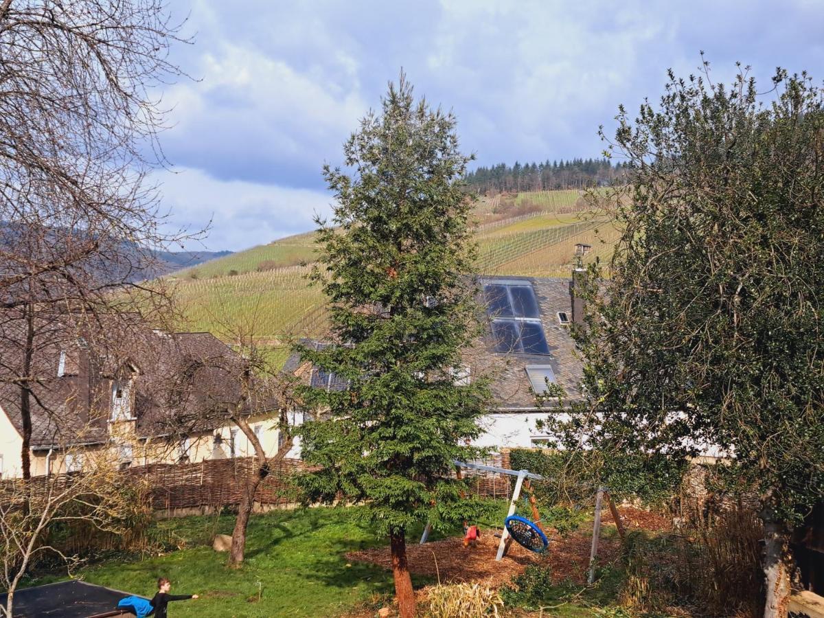 Haus Moselwald - 3 Bedrooms Enkirch Exterior photo